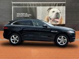 Used 2019 Jaguar F-PACE Premium image 2