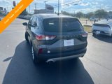 Used 2022 Ford Escape SE image 3