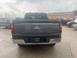 New 2024 Ford F150 XLT w/ Equipment Group 302A MID image 4