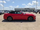 Used 2023 Ford Mustang Premium image 2
