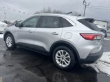 Used 2020 Ford Escape SE image 5