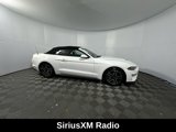 Used 2020 Ford Mustang Premium image 2