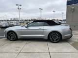 Used 2022 Ford Mustang Premium image 3