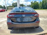 New 2025 Honda Civic Sport image 4