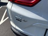 Used 2017 Honda CR-V EX-L image 5