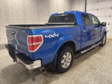 Used 2010 Ford F150 XLT image 5
