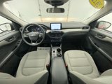 Certified 2022 Ford Escape SE w/ Convenience Package image 2