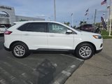 Used 2024 Ford Edge SEL image 3