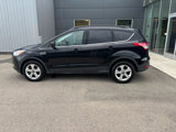 Used 2016 Ford Escape SE w/ SE Leather Comfort Package image 5