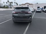 Used 2018 Ford Edge SEL w/ Equipment Group 201A image 6
