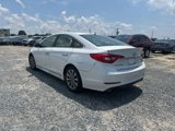 Used 2016 Hyundai Sonata Limited image 3