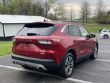 Used 2020 Ford Escape SEL image 3