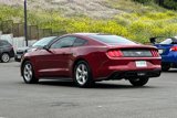 Used 2019 Ford Mustang Coupe image 6