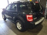 Used 2011 Ford Escape XLT w/ Cargo Pkg image 4
