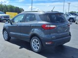 Used 2020 Ford EcoSport SE w/ SE Convenience Package image 4