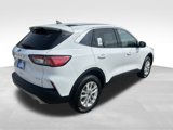 Used 2021 Ford Escape SE w/ Convenience Package image 6