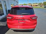 Used 2024 Ford Escape ST-Line image 5