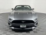 Used 2022 Ford Mustang Premium image 2