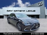 Certified 2024 Lexus ES 300h w/ Premium Package image 3