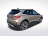 Used 2020 Ford Escape SEL image 4