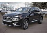 Used 2021 Hyundai Santa Fe SEL w/ Cargo Package image 3
