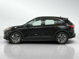 Used 2020 Ford Escape SEL image 2