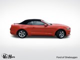 Used 2016 Ford Mustang Convertible image 2