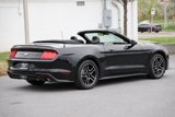 Certified 2023 Ford Mustang Premium image 4