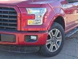 Used 2015 Ford F150 XLT w/ Equipment Group 302A Luxury image 3