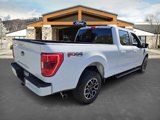 Certified 2023 Ford F150 XLT w/ Equipment Group 302A High image 5
