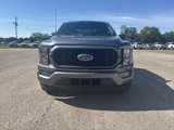 Used 2023 Ford F150 XL w/ STX Appearance Package image 3