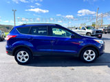 Used 2015 Ford Escape SE w/ Equipment Group 201A image 6