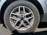 Used 2023 Ford Edge SEL image 6