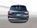 Used 2020 Ford Escape SEL image 4