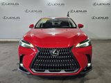 Used 2023 Lexus NX 250 FWD image 2