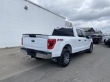 Used 2021 Ford F150 XLT w/ Equipment Group 301A Mid image 2