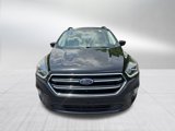 Used 2019 Ford Escape SE image 2