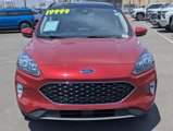 Used 2020 Ford Escape Titanium image 6