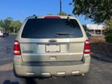 Used 2010 Ford Escape XLT image 6