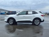 Certified 2022 Ford Escape SEL image 2