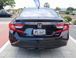 Used 2019 Honda Accord EX image 6