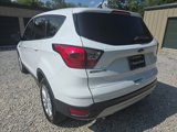 Used 2019 Ford Escape SE image 3