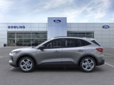 New 2025 Ford Escape ST-Line w/ Tech Pack #1 image 3