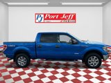 Used 2014 Ford F150 XLT w/ Equipment Group 302A Luxury image 4