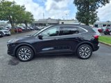 Used 2020 Ford Escape Titanium image 6
