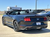 Certified 2022 Ford Mustang Premium image 4