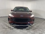 Used 2021 Ford Escape SE w/ Convenience Package image 2