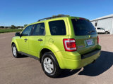 Used 2011 Ford Escape XLT w/ 203A Rapid Spec Order Code image 3