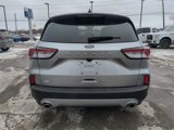 Certified 2022 Ford Escape SE image 6