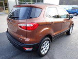 Used 2020 Ford EcoSport SE image 2